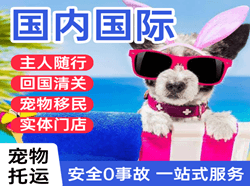 喀什机场快递国际宠物托运 【国